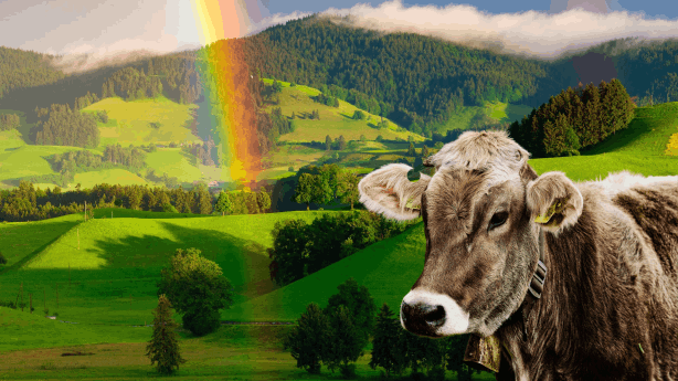 Ferienhof Mehler - Der Ferienbauernhof für die ganze Familie in Poppenhausen