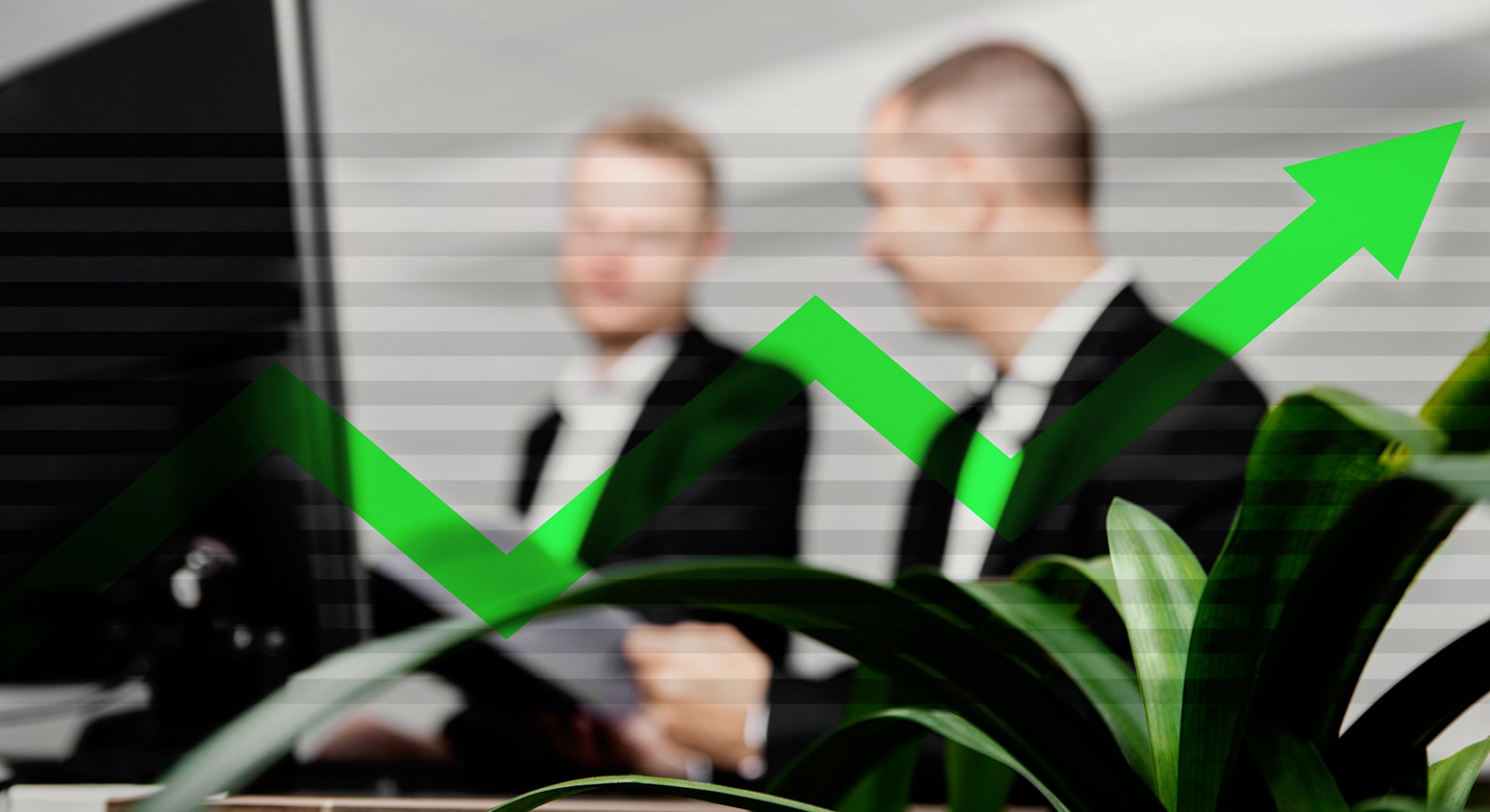 Ries und Roth Steuerberatungsgesellschaft